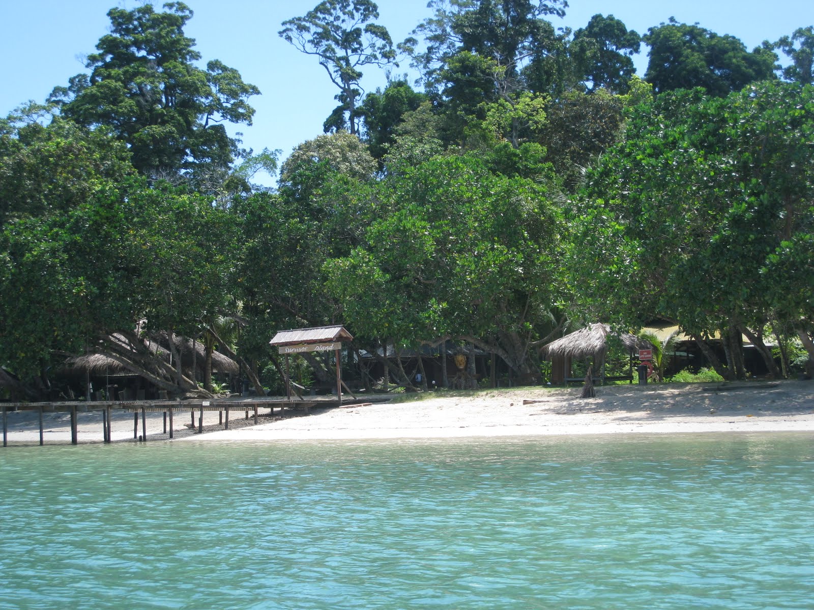 The Inbox survivor island