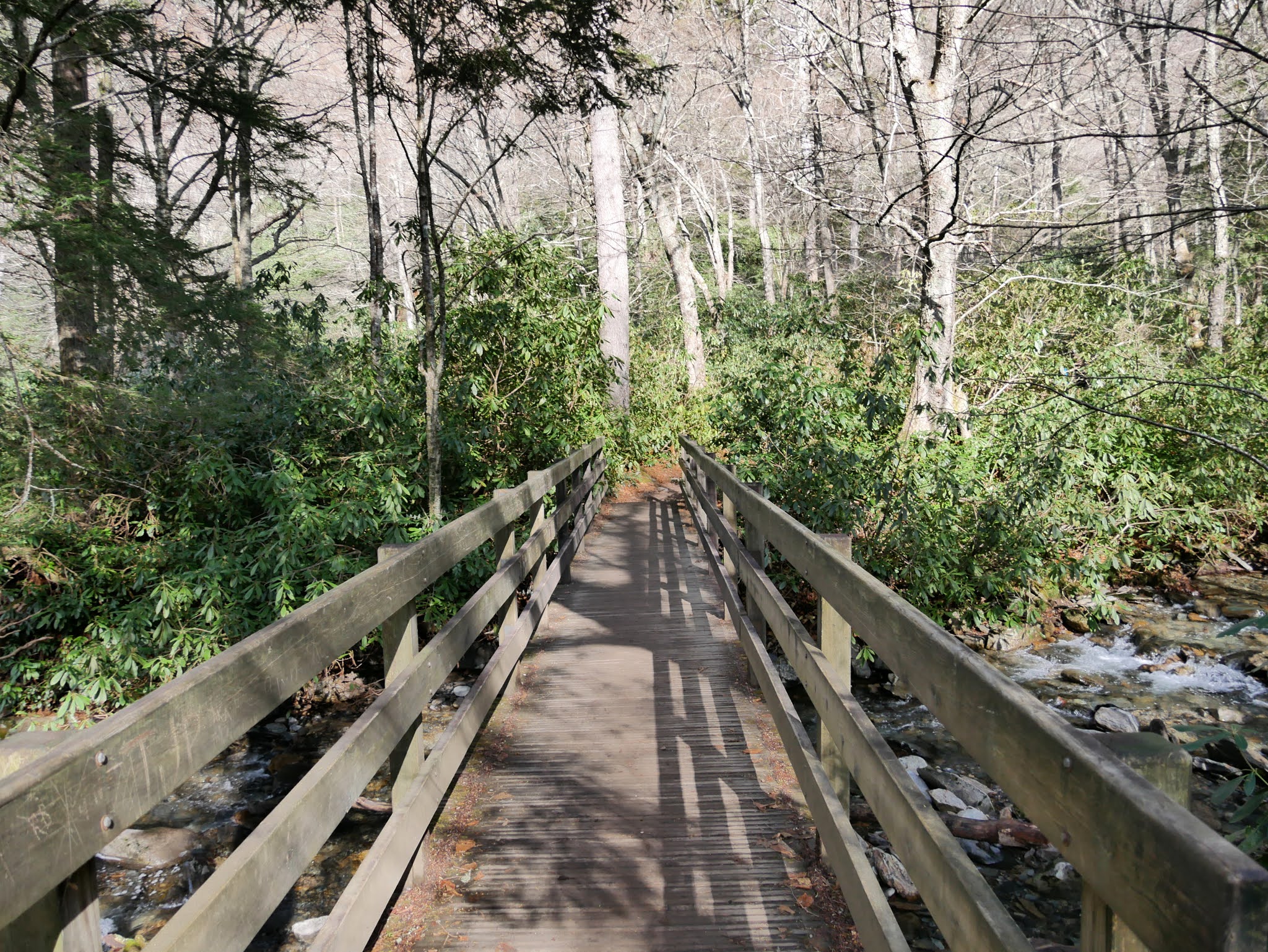 American Travel Journal Alum Cave Trail part 1 Trailhead to Arch Rock