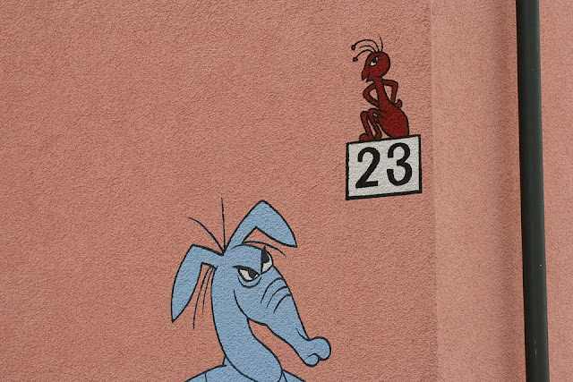 formiche-casa-rimedi naturali-eliminare le formiche