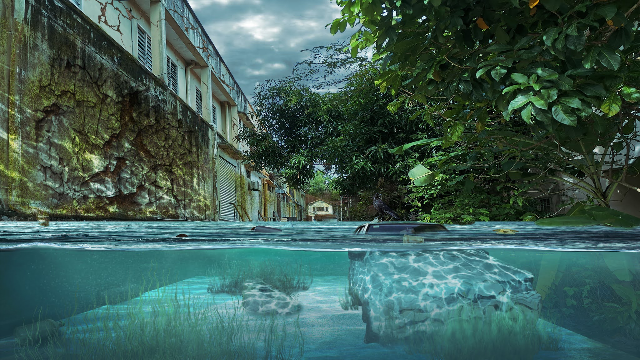 Video Compositing & Special Effects & Video Editing