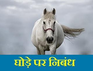 Essay on Horse in Hindi घोड़ा पर निबंध 