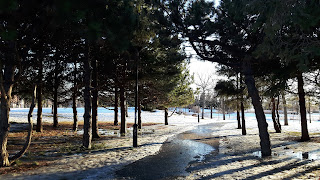 Parc Jarry, arbres, neige qui fond