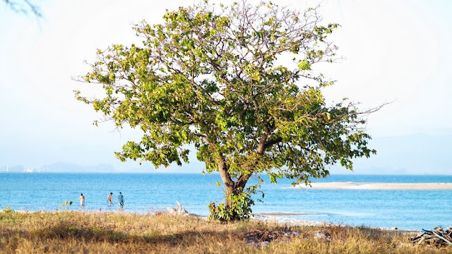 Beautiful Island with no inhabitants - Langkadea