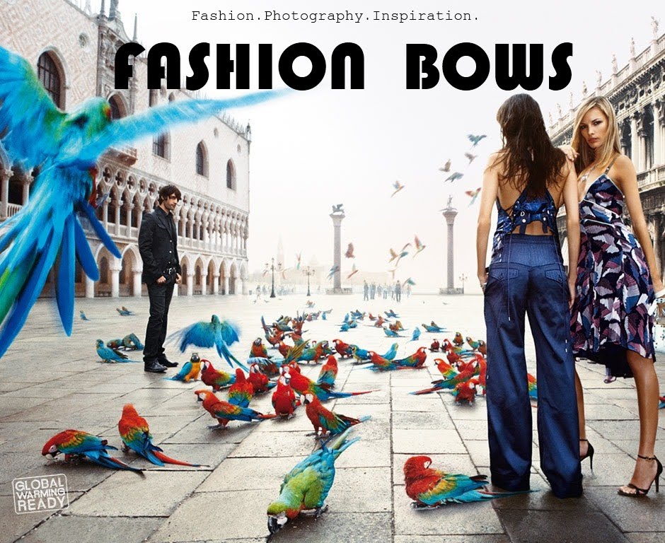 Fashion Bows