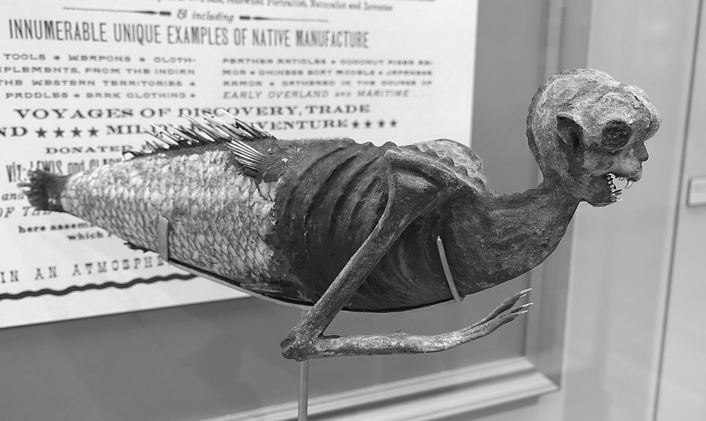 La sirena de Fiyi y otras criaturas marinas falsas Revista Formol