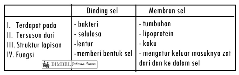 Soal Sistem Organisasi Kehidupan Mahluk Hidup Kelas 7 Bimbel Jakarta Timur Soal Sistem Organisasi Kehidupan Mahluk Hidup Kelas 7 Bimbel Jakarta Timur