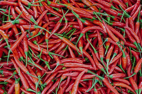 Cabai Cabai - 9 Sayuran Yang Membantu Dalam Diet Anda Untuk Membakar Lemak Perut