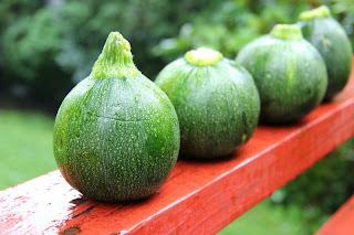 zucchine ripiene riso e carne