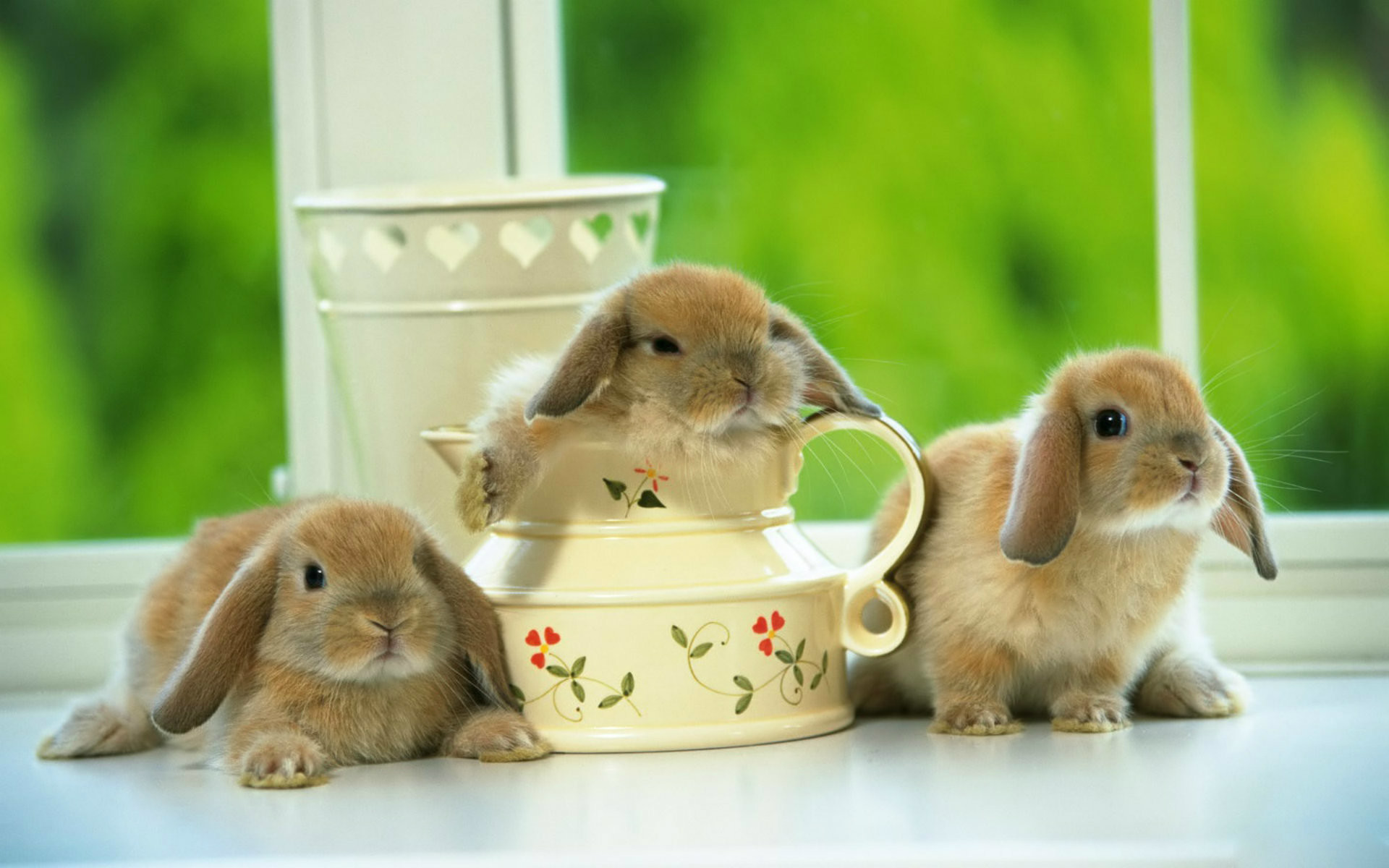 White Rabbit Cute Cartoon Background Seamless Wallpaper Stock Vector -  Illustration of jackrabbit, vector: 124770732