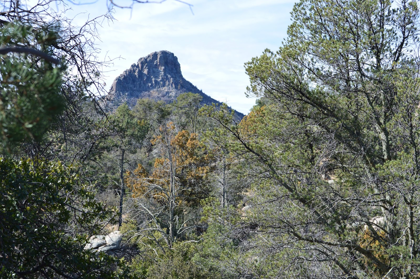PrescottAZHistory The Surprising Adventures of Arizona's First Boy Scouts