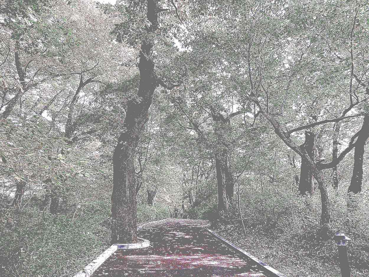 공주 계룡산 갑사 공주 계룡산 갑사