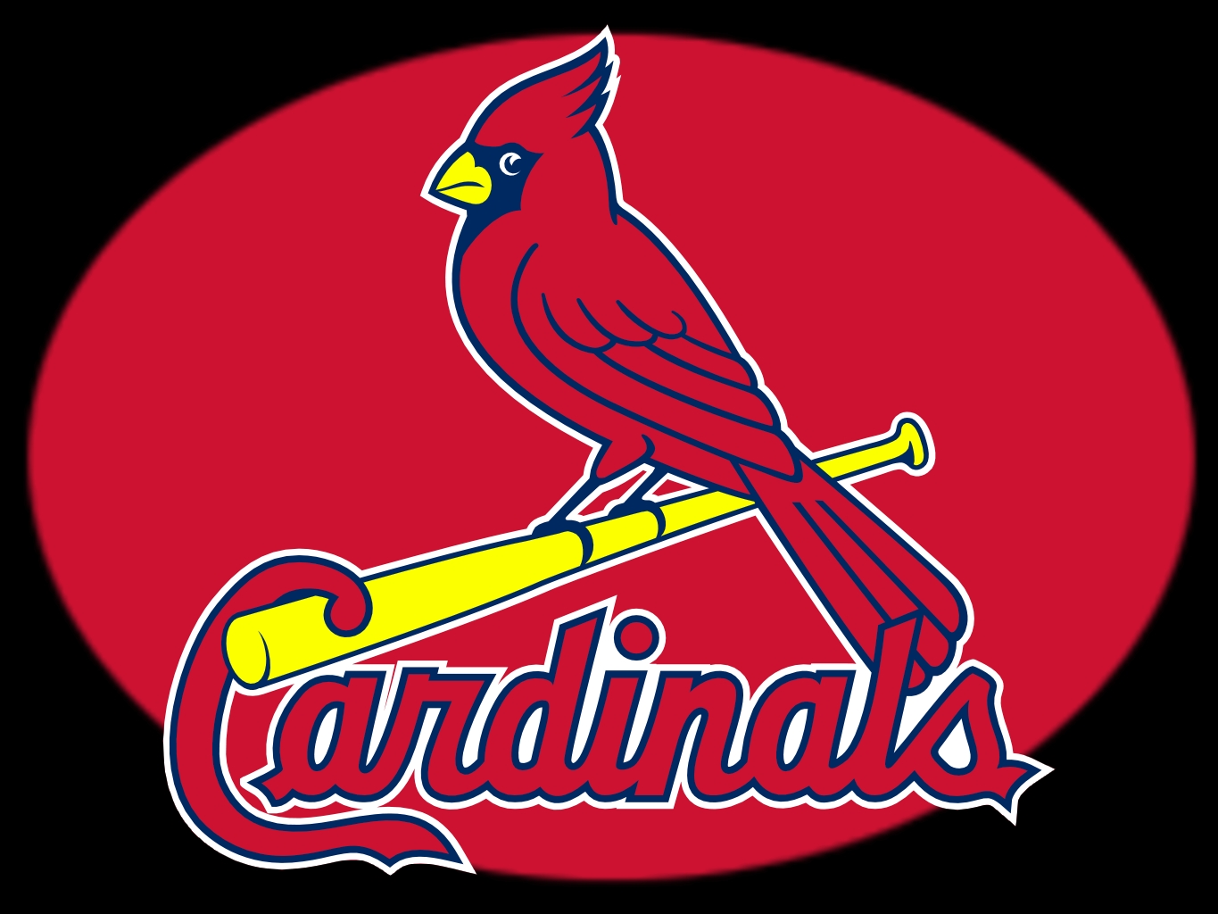 30 in 30. The MLB SuperFan Blog.: Batter Up! The &quot;I&#39;dont like the view&quot; Cardinals Fan
