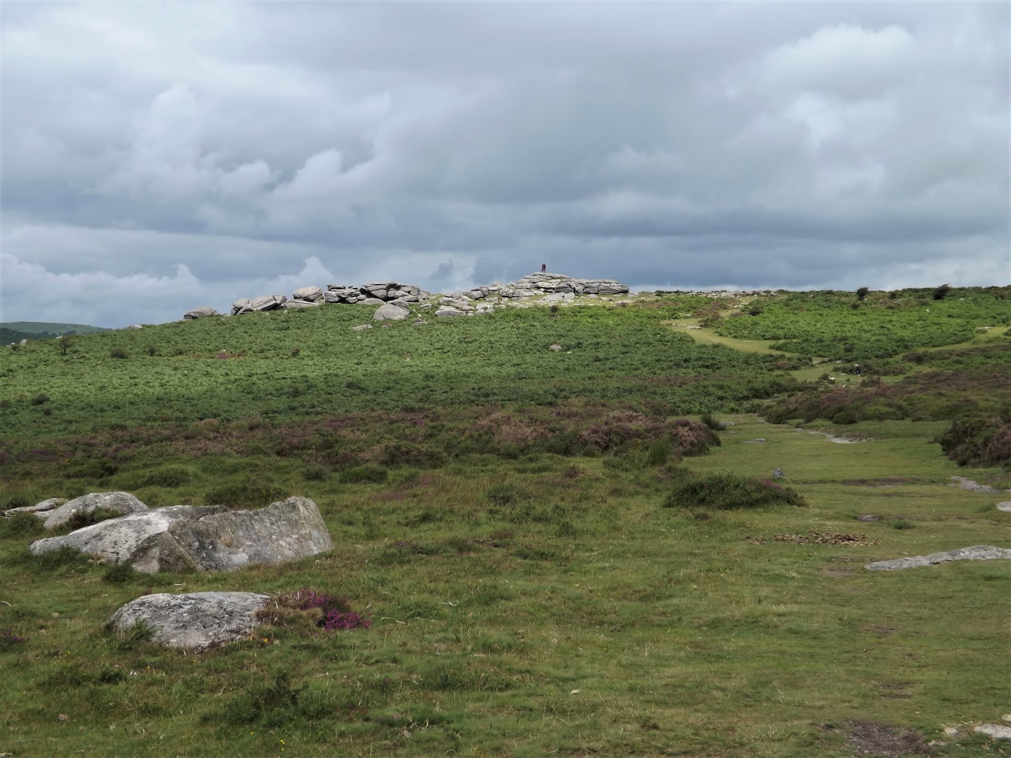 JJ's Wargames: Haytor Down and Yarner Wood - Dartmoor Adventures in an ...