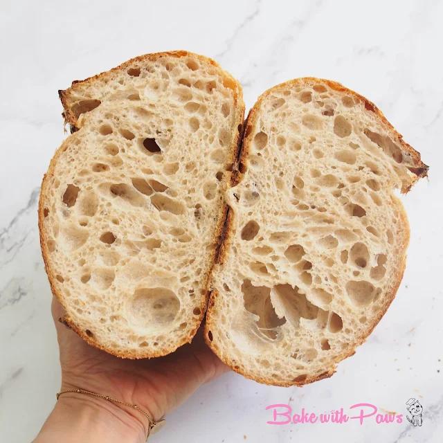 Basic Open Crumb Sourdough Bread (Medium Hydration)