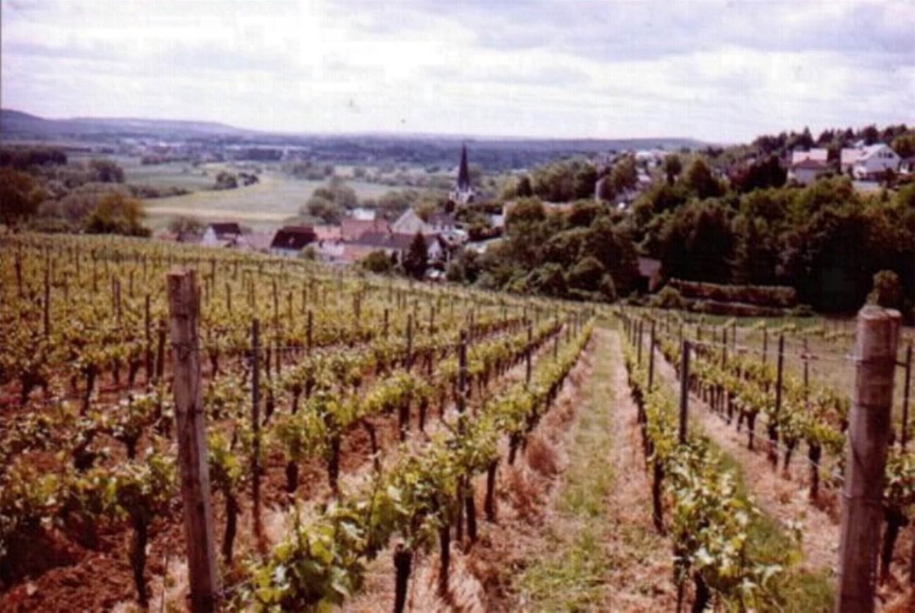 Post Laubenheim Post Laubenheim