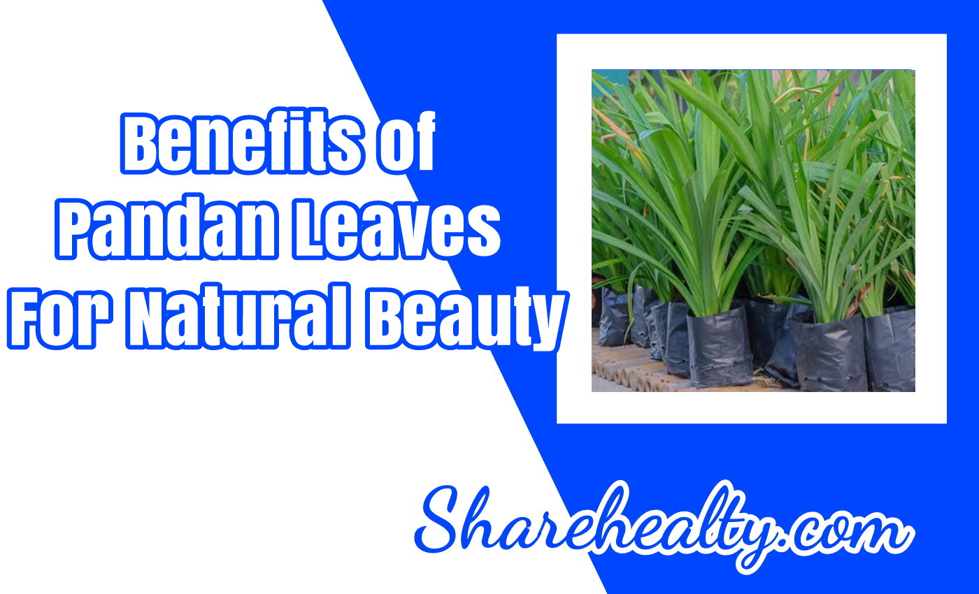Facts and Benefits of Pandan Leaves for Natural Beauty Share Healty