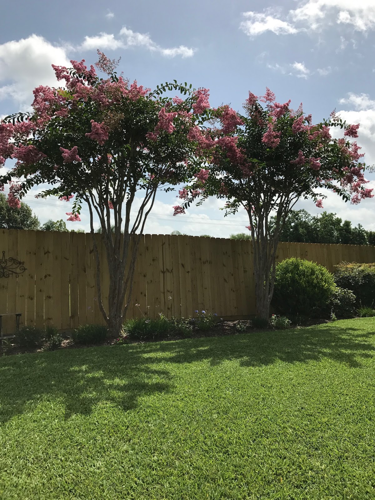 Texas Decor My Southern Garden