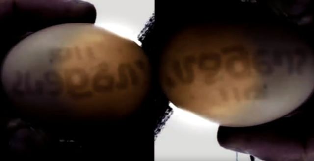 Mystery as chicken lays egg with numbers and symbols depicted on shell  Mystery-eggshell-numbers-symbols%252Cbrazil%2B%25282%2529