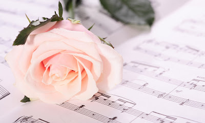 Rosa perfumada y autentica como las notas de una canción