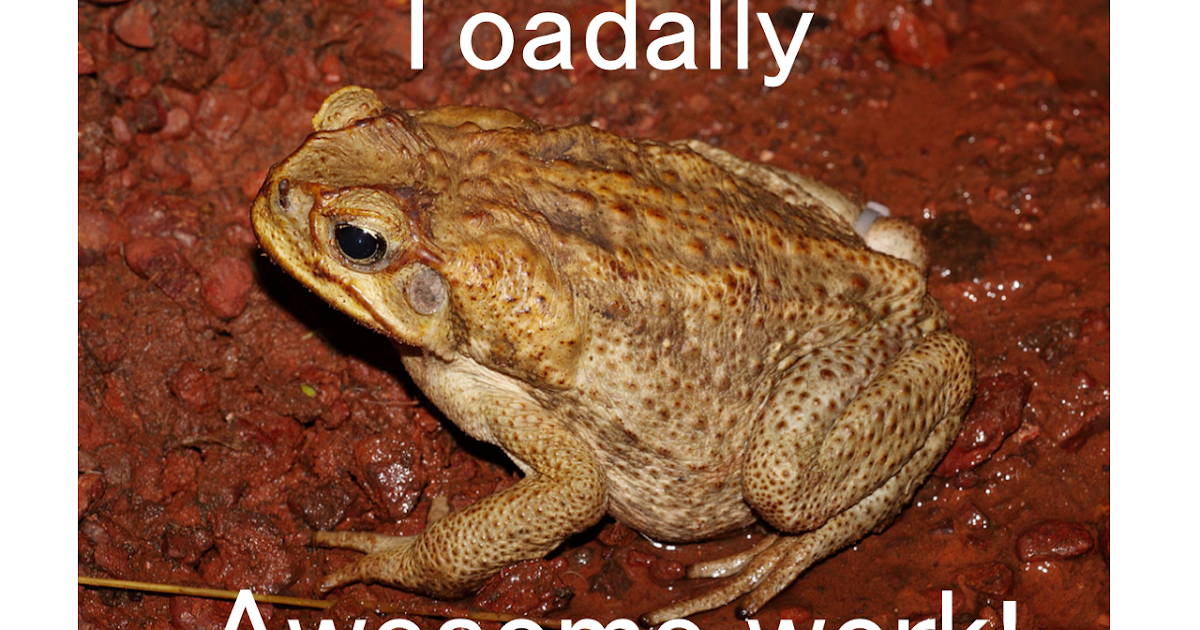 жаба образ. древесная лягушка квакша обыкновенная. жаба образ. головастик травяной лягушки. травяная лягушка среда обитания.