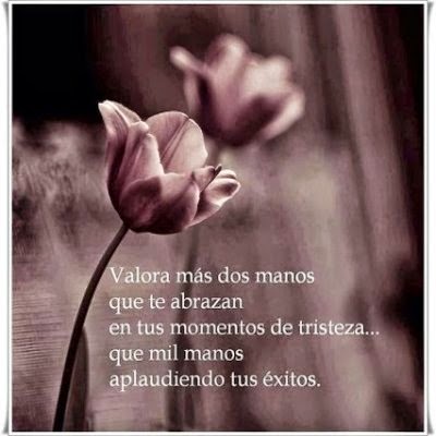 Imagen 0