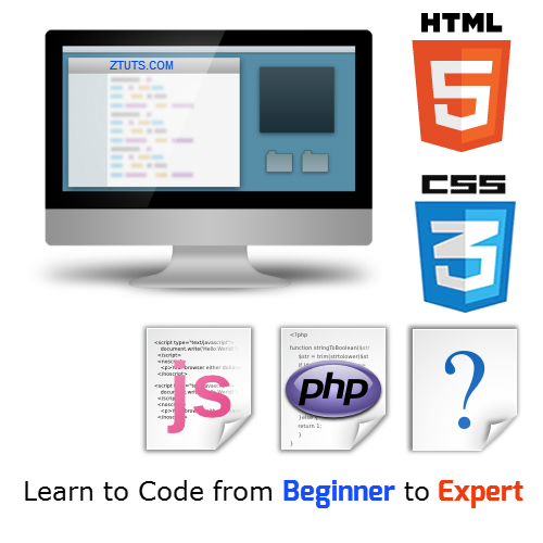 Codify. Beginner coding. Codify LMS. Beginner Expert.