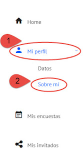 Rellenar perfil encueston