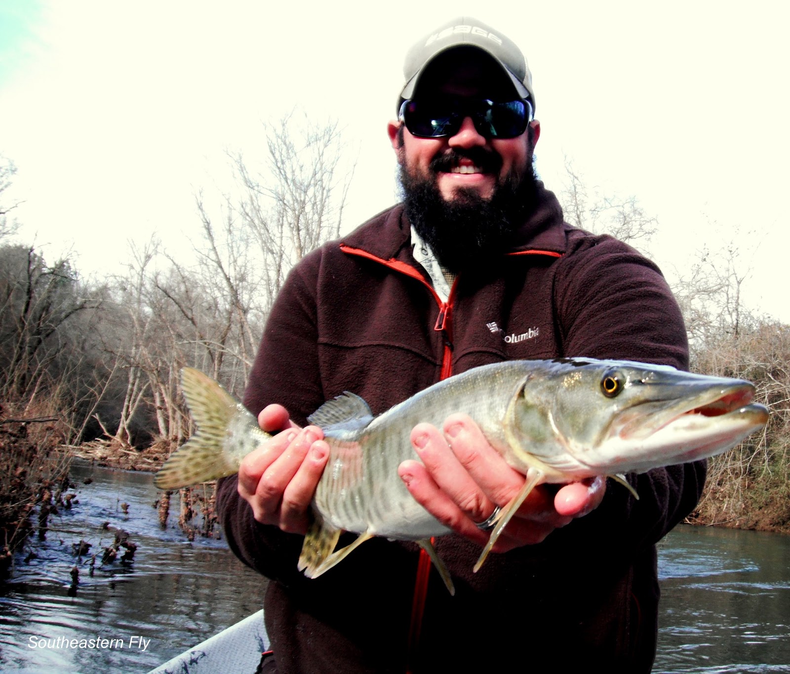 Southeastern Fly Fly Fishing for Southern Musky