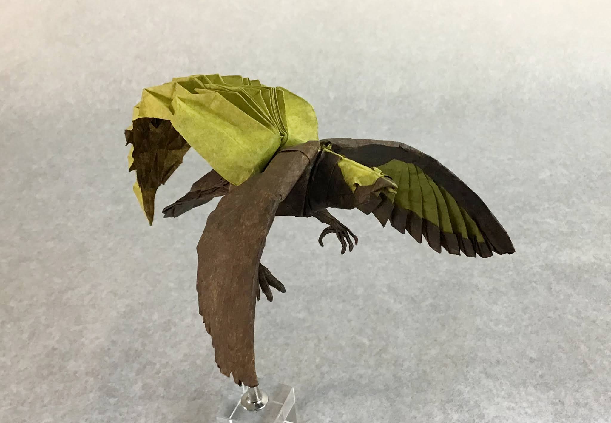 Origami Bird of Paradise