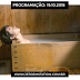 PROGRAMAÇÃO - DRAMAS - BOKU TO SHIPPO TO KAGURAZAKA - EP. 02