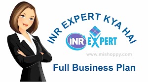 INR Expert Kya Hai - Business Plan