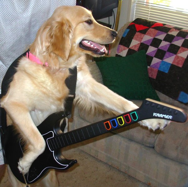guitar-hero-dog.jpg guitar-hero-dog.jpg