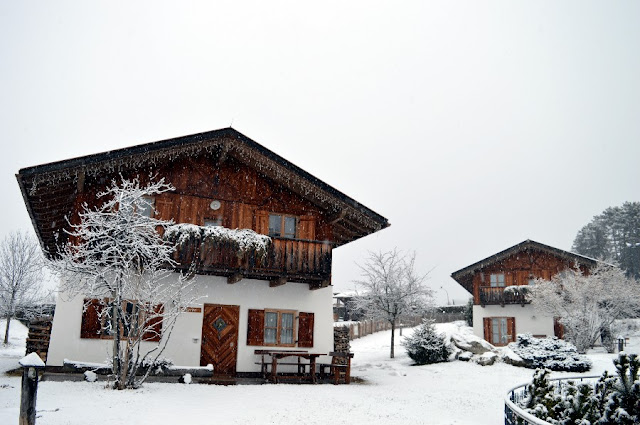 escursioni ciaspole trentino