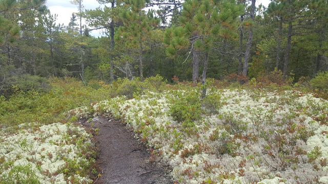 Vue à partir du sentier du Fjord
