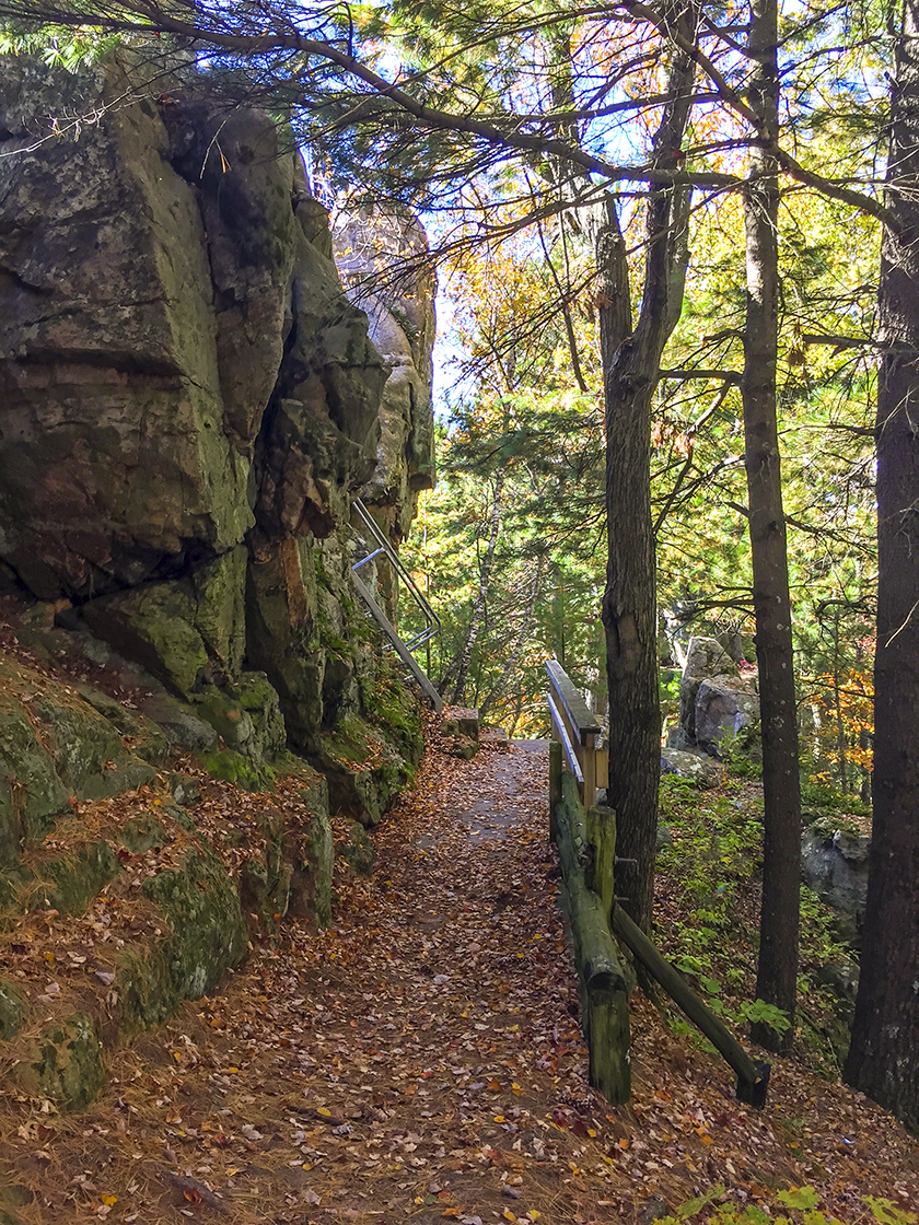 Along the Black River Forest Nature Trail