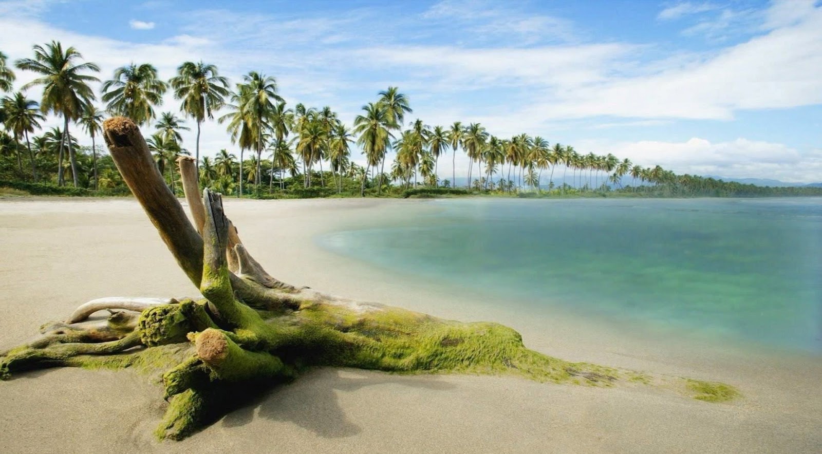 sɪℓєηcє خلفيات سطح المكتب