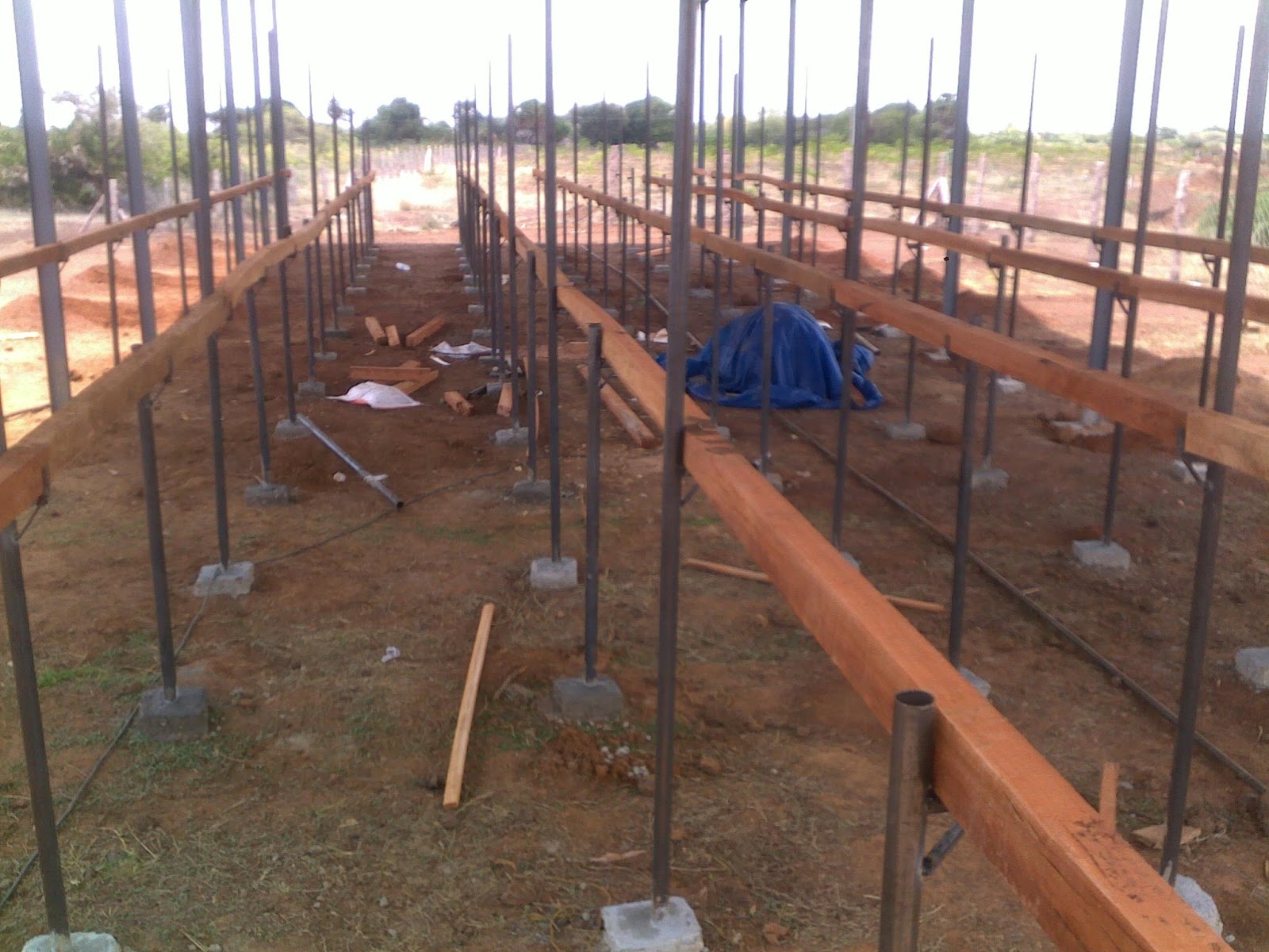 Goat Shed Elevation Indian goat-farm-layout-design