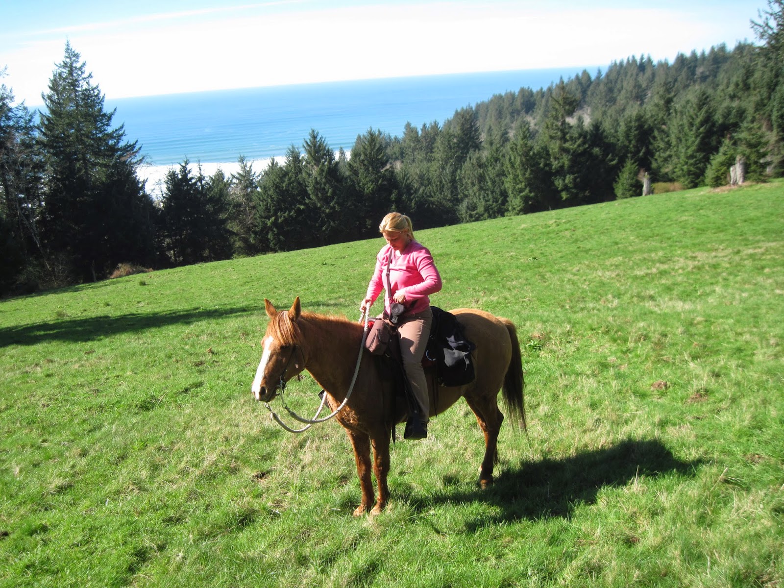 Holly's Horse Tales and Trails Baker Beach Horse Camp and the Cape