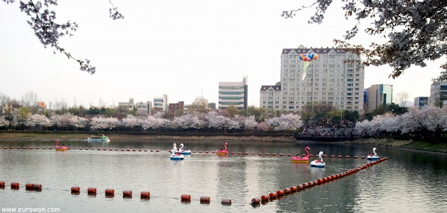 Botes con forma de pato en el lago de Lotte World