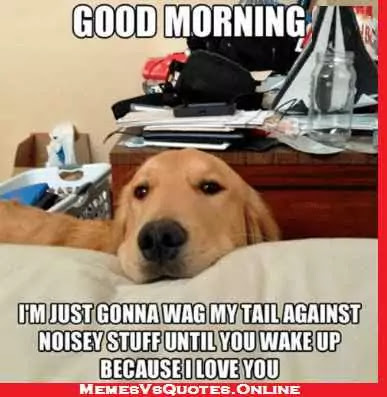Good Morning beautiful memes for her Good Morning beautiful memes for her, dog wag noisey