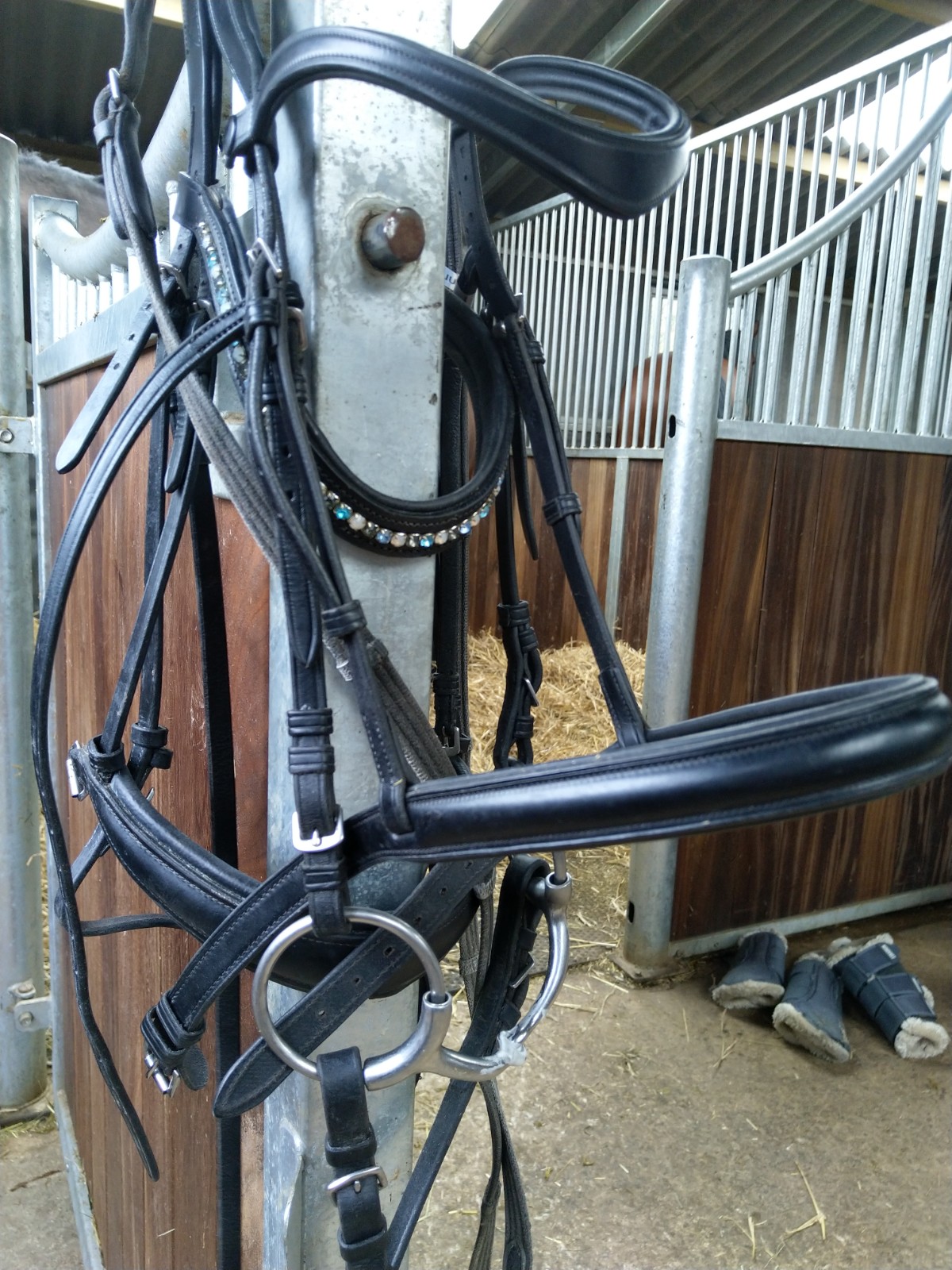 Roosa's Horsey Life Horse bit fitting consultation