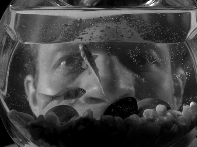 On directing > Killer's Kiss | Stanley Kubrick, 1955 6 On directing > Killer's Kiss | Stanley Kubrick, 1955 Killer%25E2%2580%2599s%2BKiss%2B00