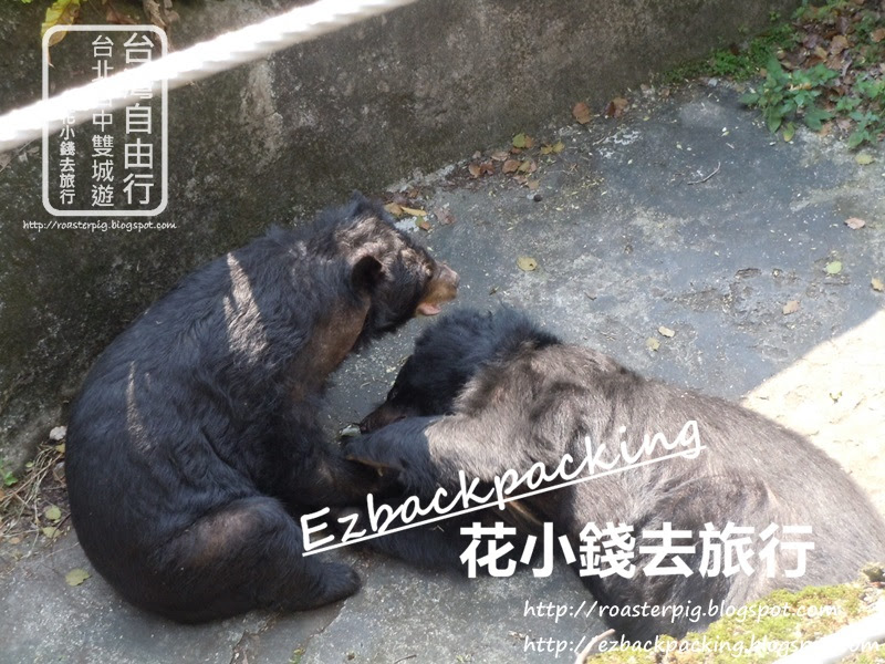台北木柵動物園 動物位置