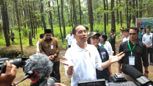 Ibu Kota Baru Disebut Merusak Alam, Jokowi: Hutannya Juga Sudah Rusak
