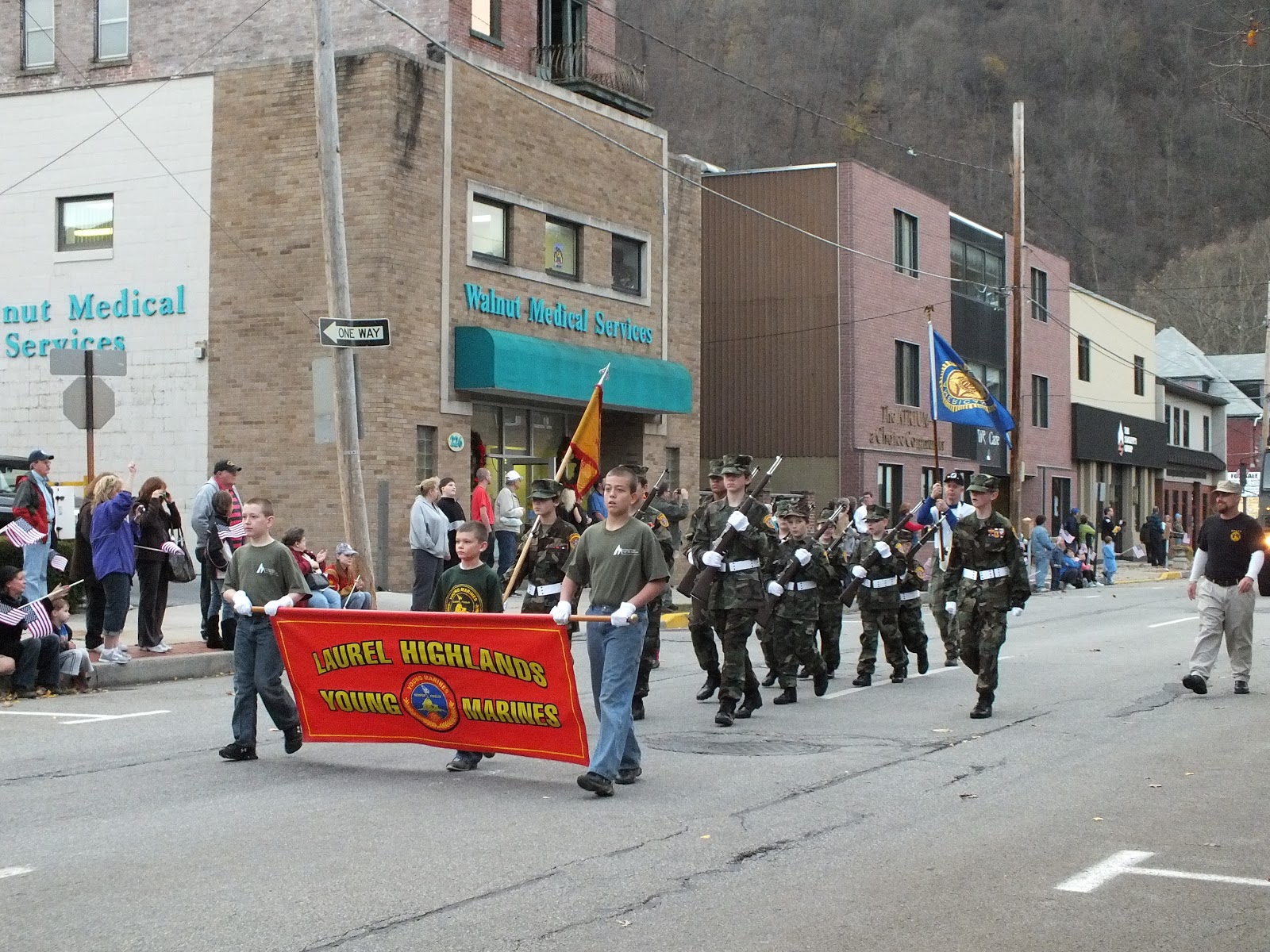 History of veterans day article from the united states office of veterans affairs