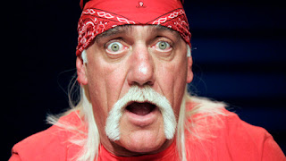 Pro Wrestling News and Opinion: The Person That Leaked Hulk Hogan Tape