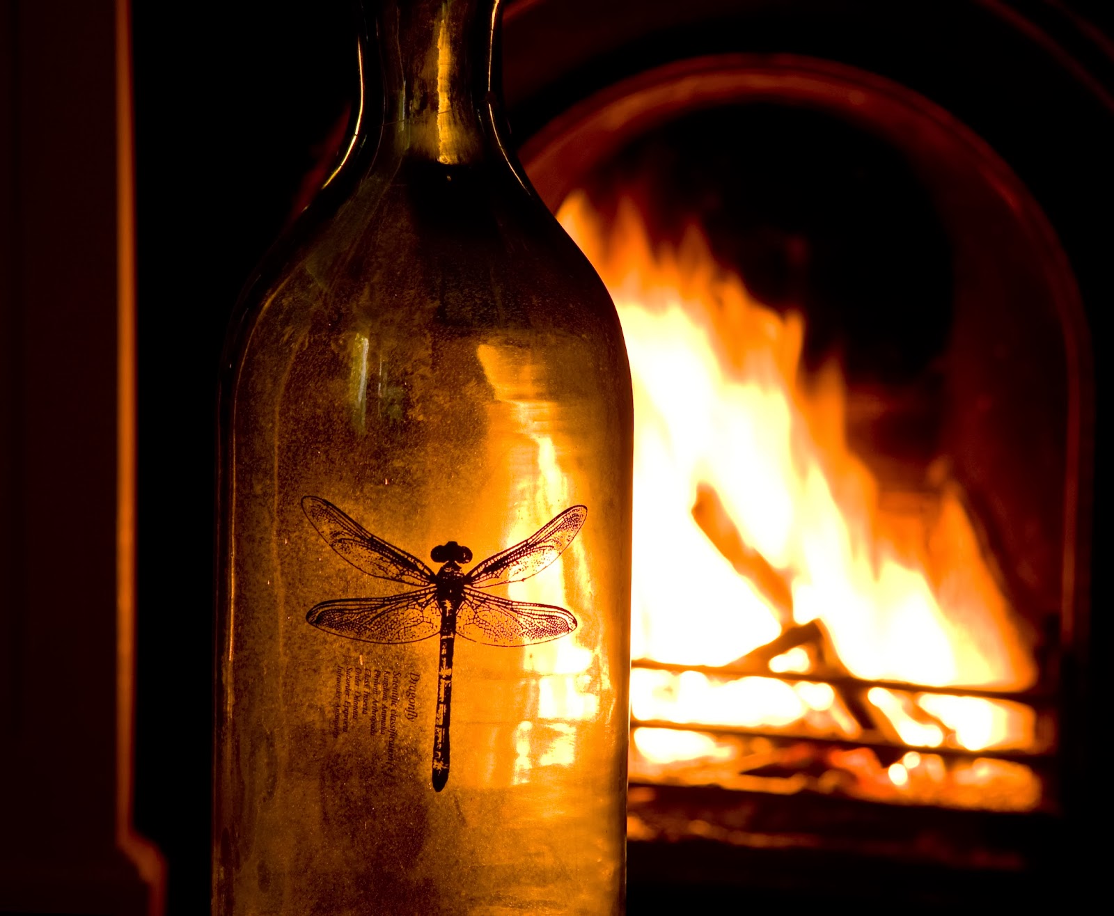 Fig1 Designed for a Brighter Life Firelight and Glass