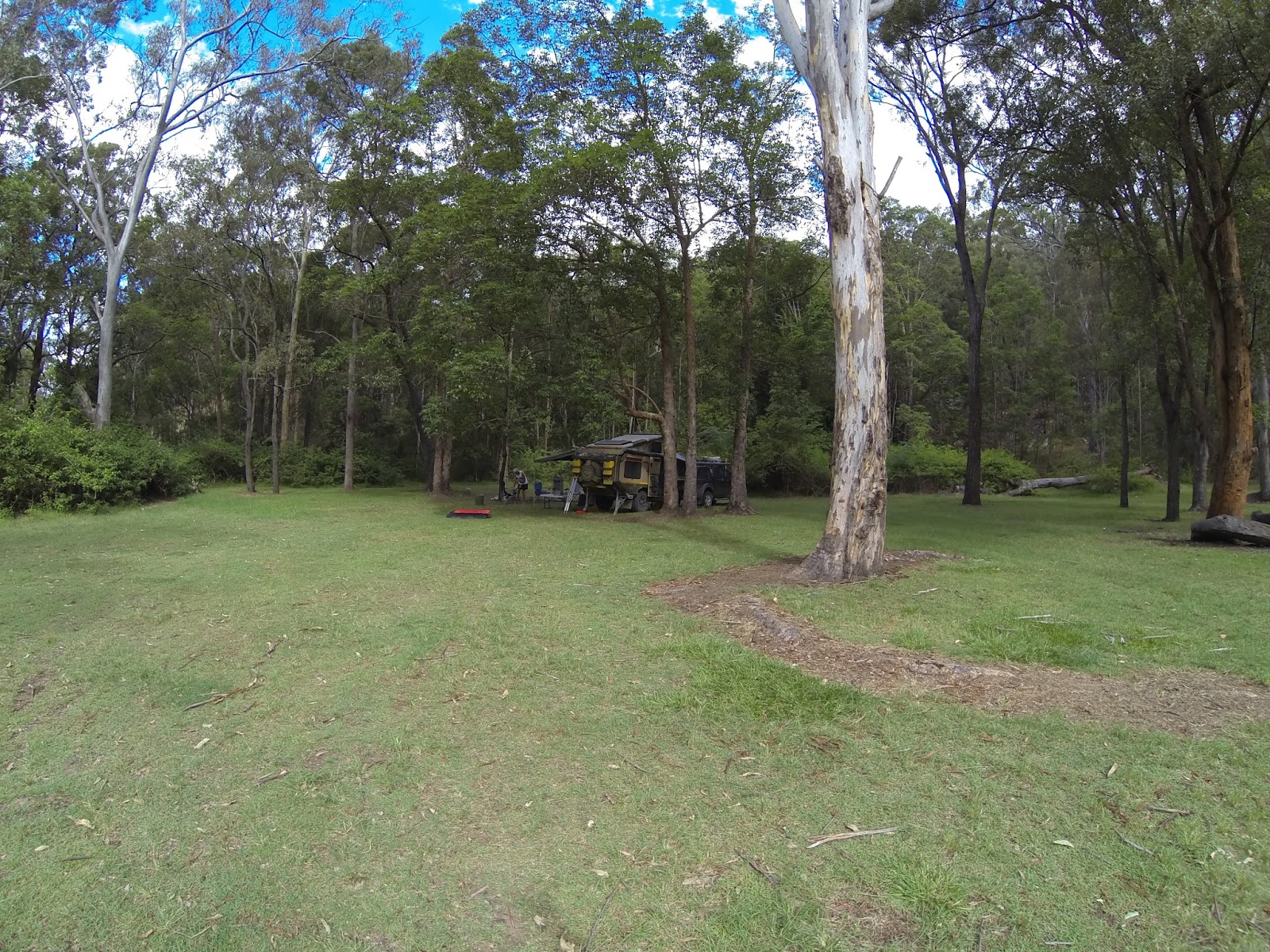 Where is Uncle Dan? Waterfall Creek Reserve Campground, Scenic Rim January 7th