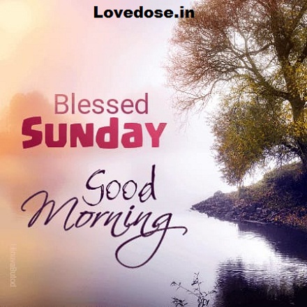 Good Morning Sunday Messages 101+ Best Good Morning Sunday Messages, Wishes For Her/Him - Love Dose -  Spread More Love