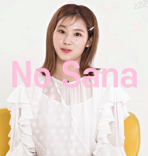 트와이스 사나도 알고 있는 NO SANA NO LIFE